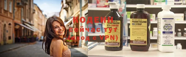 прущие крисы Няндома