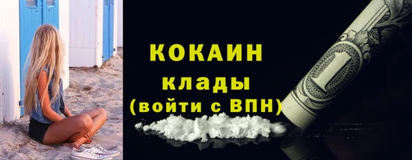 гидра Весьегонск