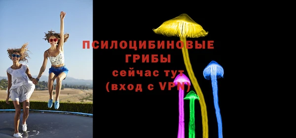 твердый Осташков