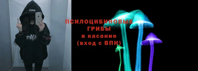 гидра Весьегонск