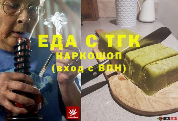 индика Елабуга