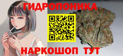 гидра Заволжье